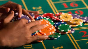 boy77 taruhan olahraga fitur mobile parlay cash out statistik pertandingan live